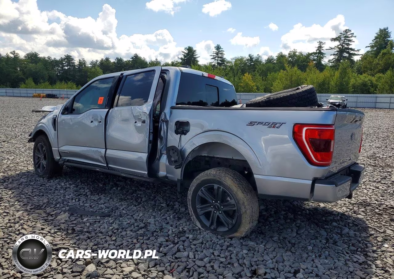 2023 Ford F150 Supercrew VIN:1FTFW1ED3PFB33725 - 2