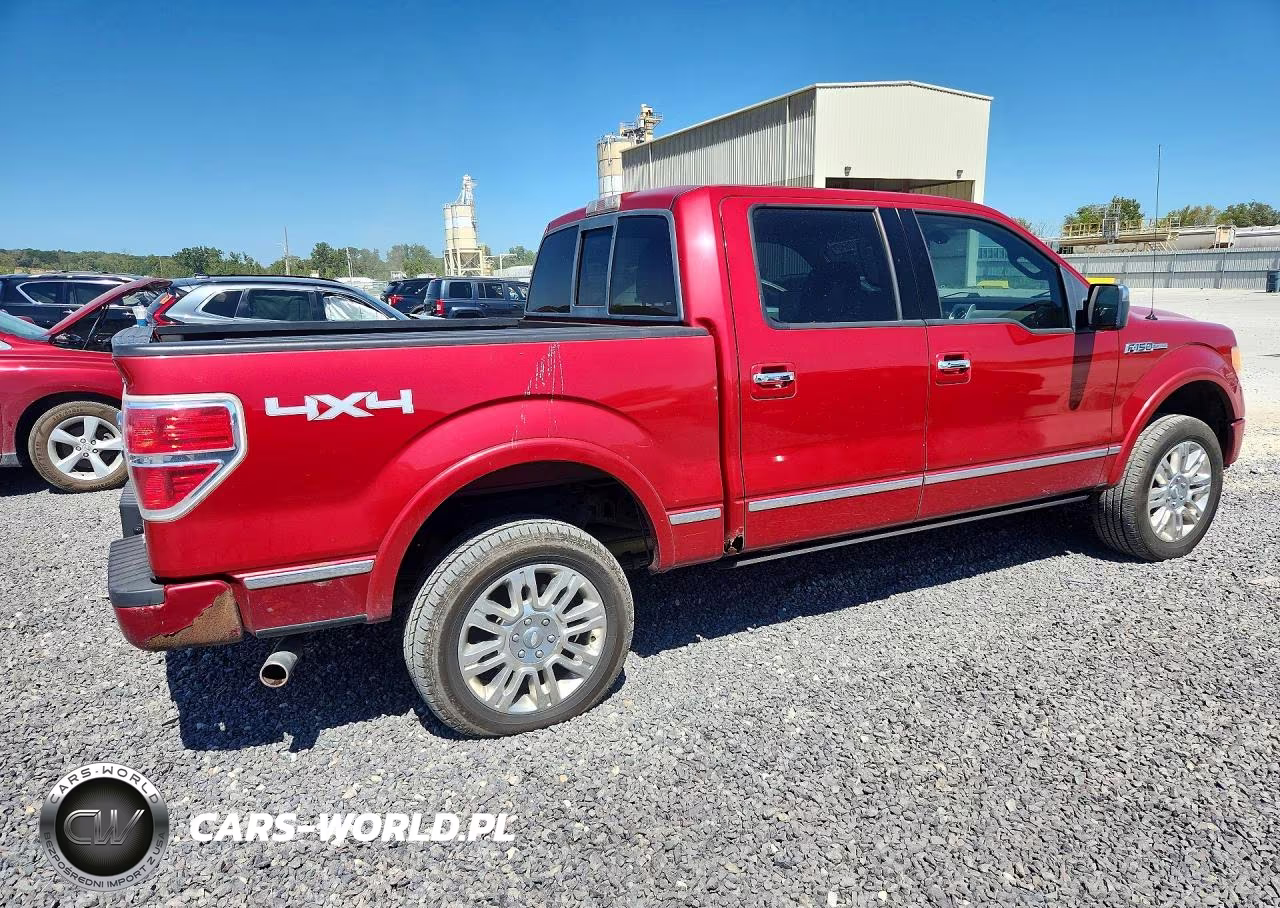 2010 Ford F150 Supercrew VIN:1FTFW1EV9AFA68525 - 3
