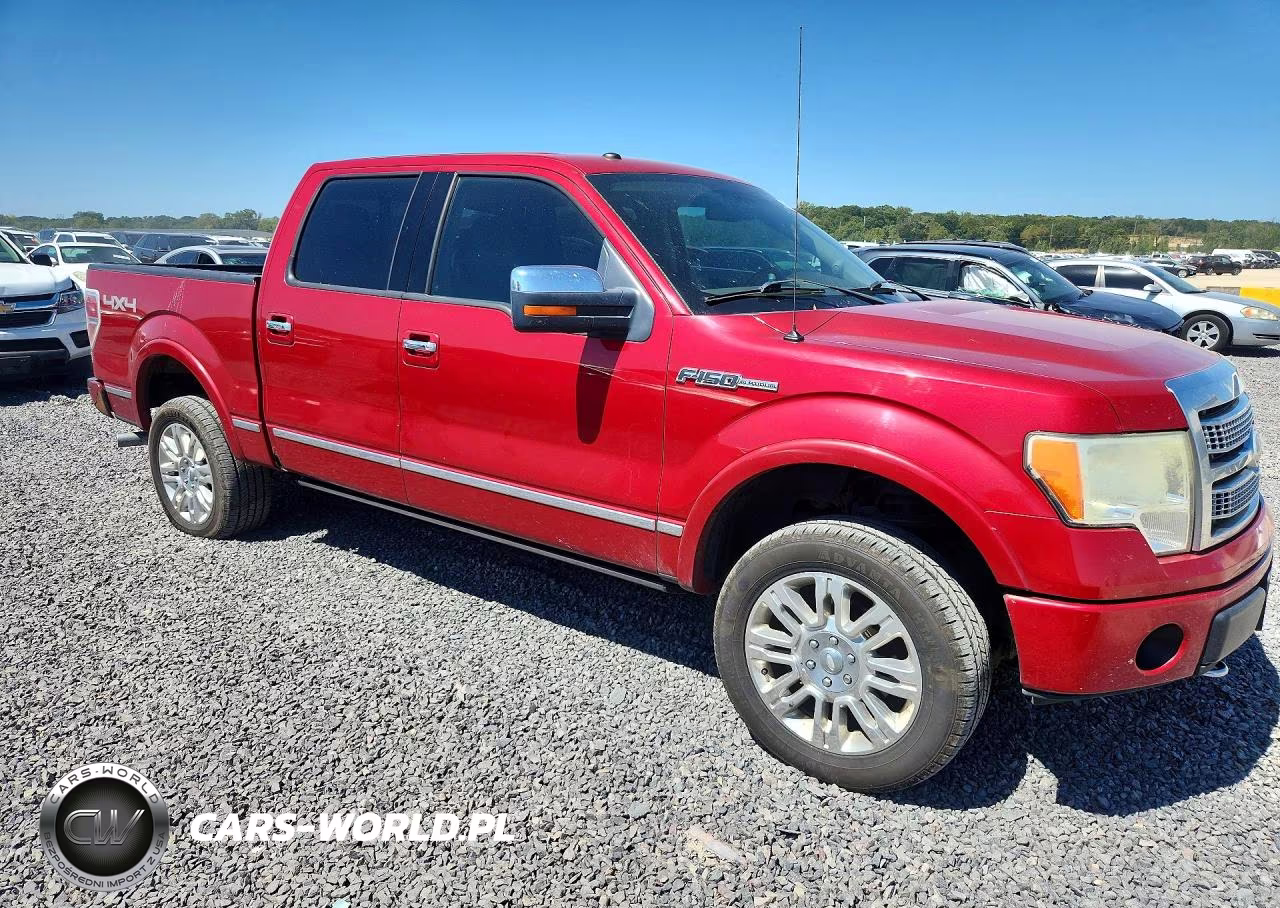 2010 Ford F150 Supercrew VIN:1FTFW1EV9AFA68525 - 4