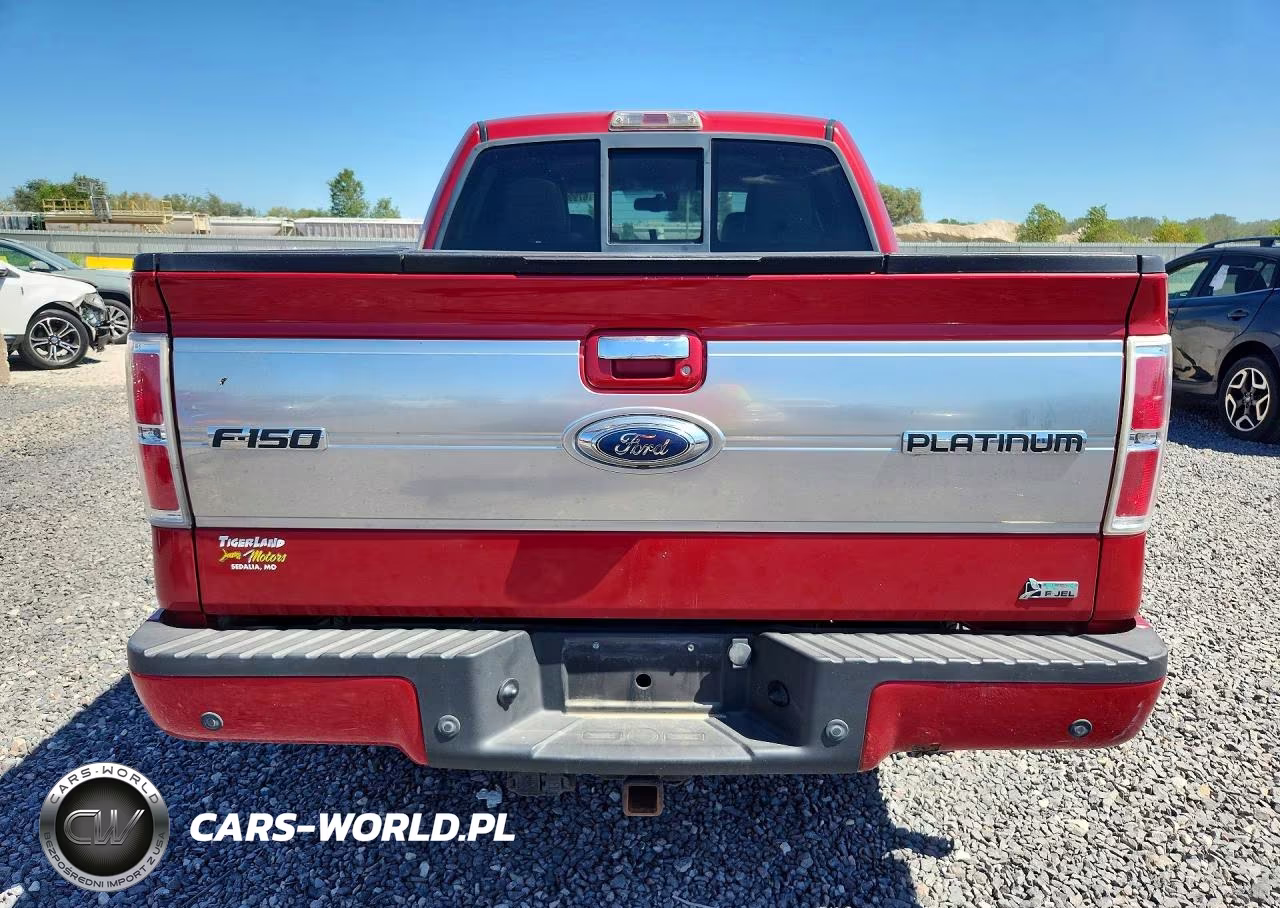 2010 Ford F150 Supercrew VIN:1FTFW1EV9AFA68525 - 6