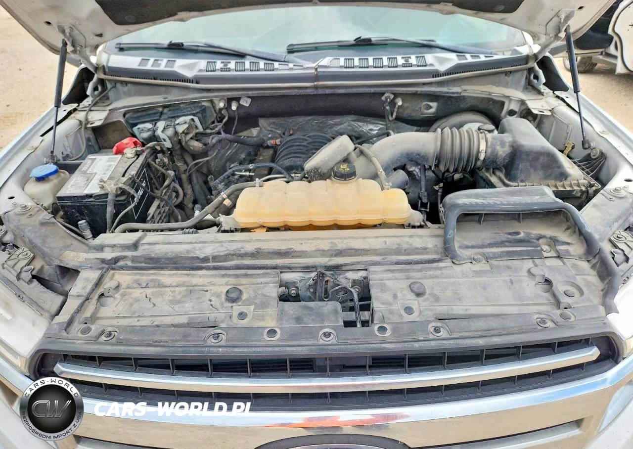 2019 Ford F150 Supercrew VIN:1FTEW1C56KKC40209 - 11