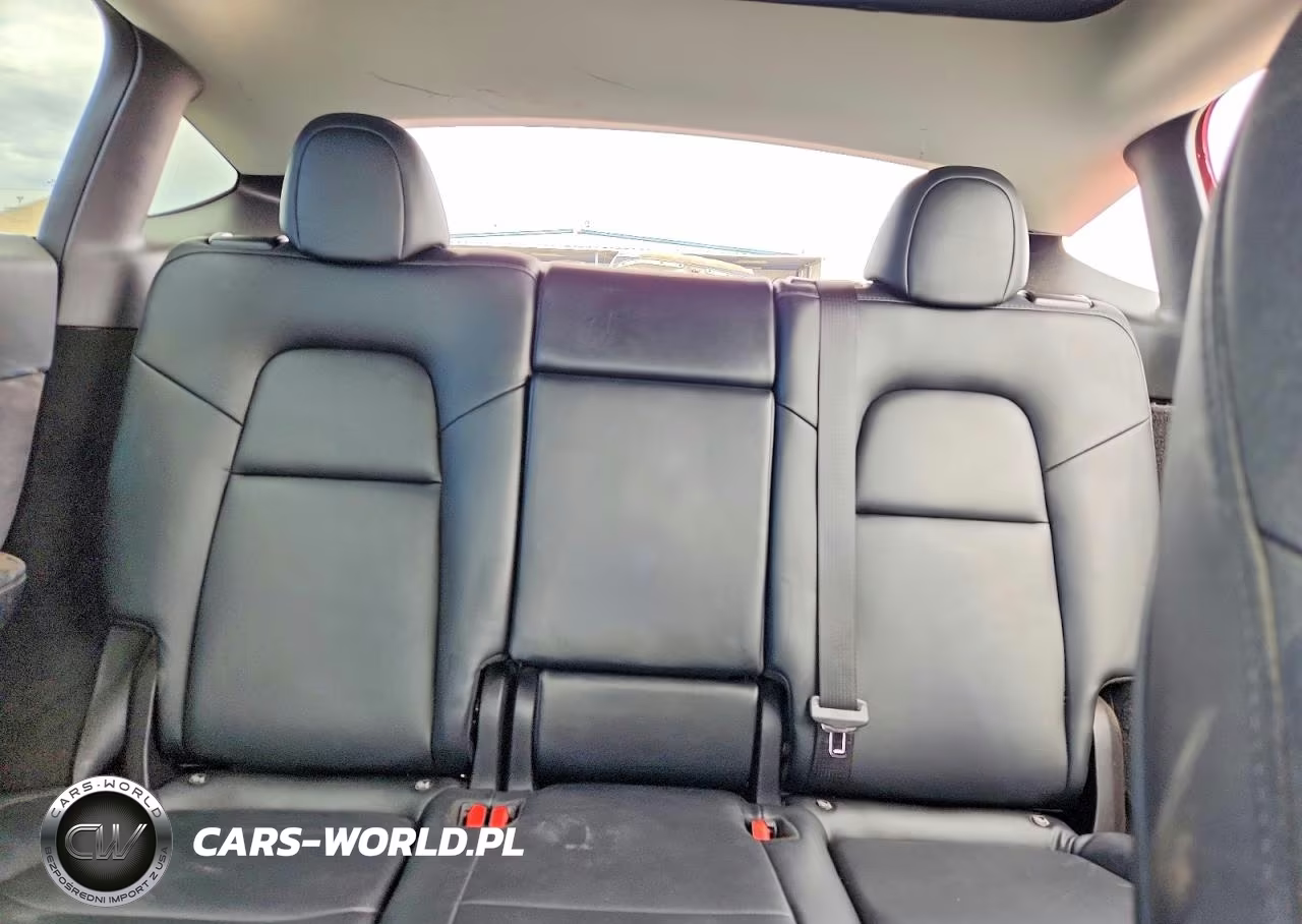 2023 Tesla Model Y VIN:7SAYGDEE0PA023364 - 10