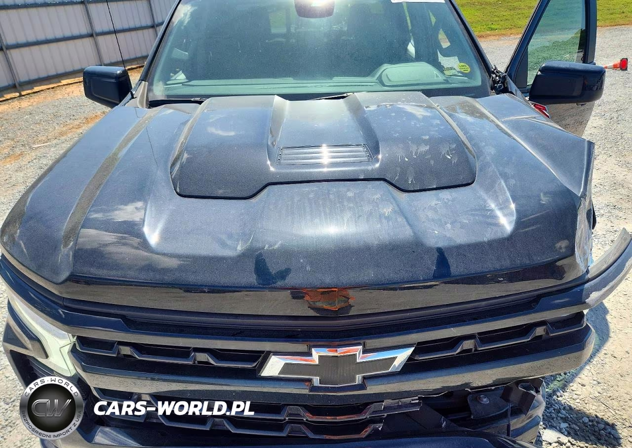 2024 Chevrolet Silverado K1500 Lt Trail Boss VIN:3GCUDFED9RG451389 - 11