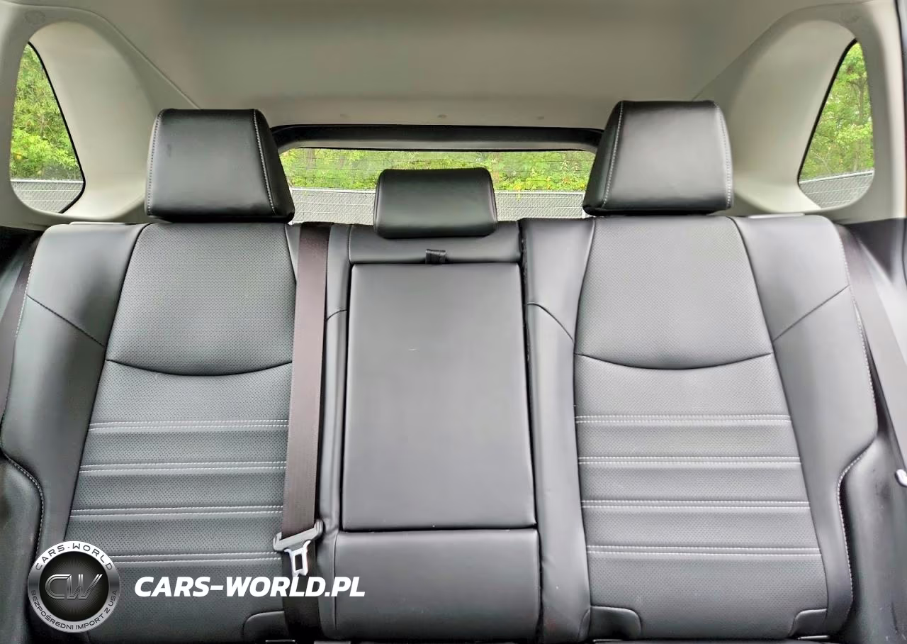 2023 Toyota Rav4 Limited VIN:JTMN1RFV4PD101975 - 10