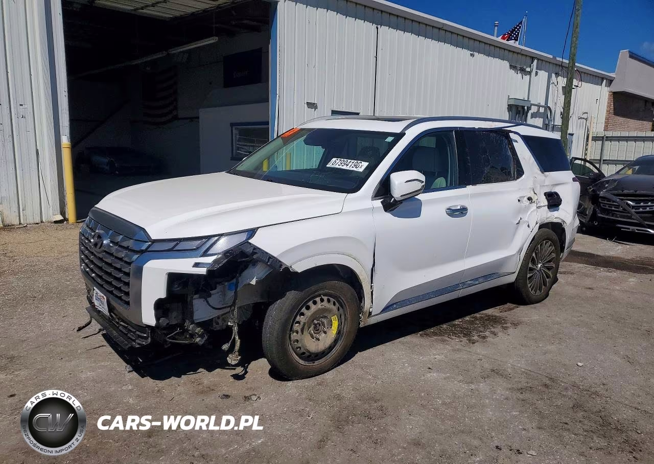 2023 Hyundai Palisade Calligraphy VIN:KM8R74GEXPU552387 - 1