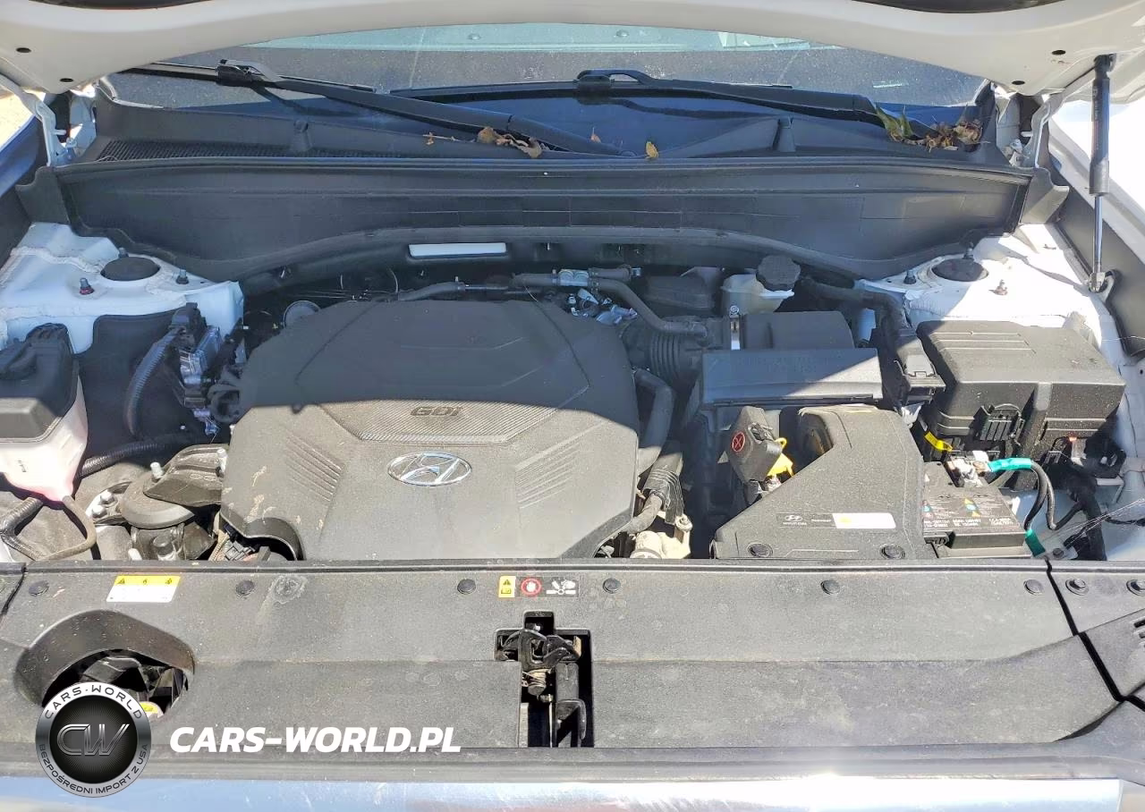 2023 Hyundai Palisade Calligraphy VIN:KM8R74GEXPU552387 - 11
