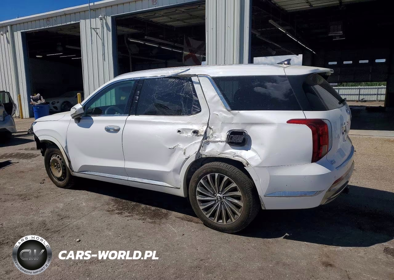2023 Hyundai Palisade Calligraphy VIN:KM8R74GEXPU552387 - 2