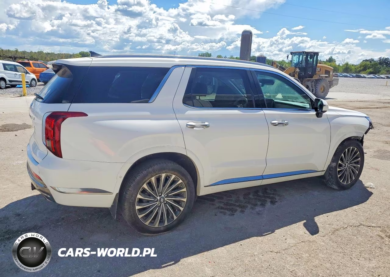 2023 Hyundai Palisade Calligraphy VIN:KM8R74GEXPU552387 - 3