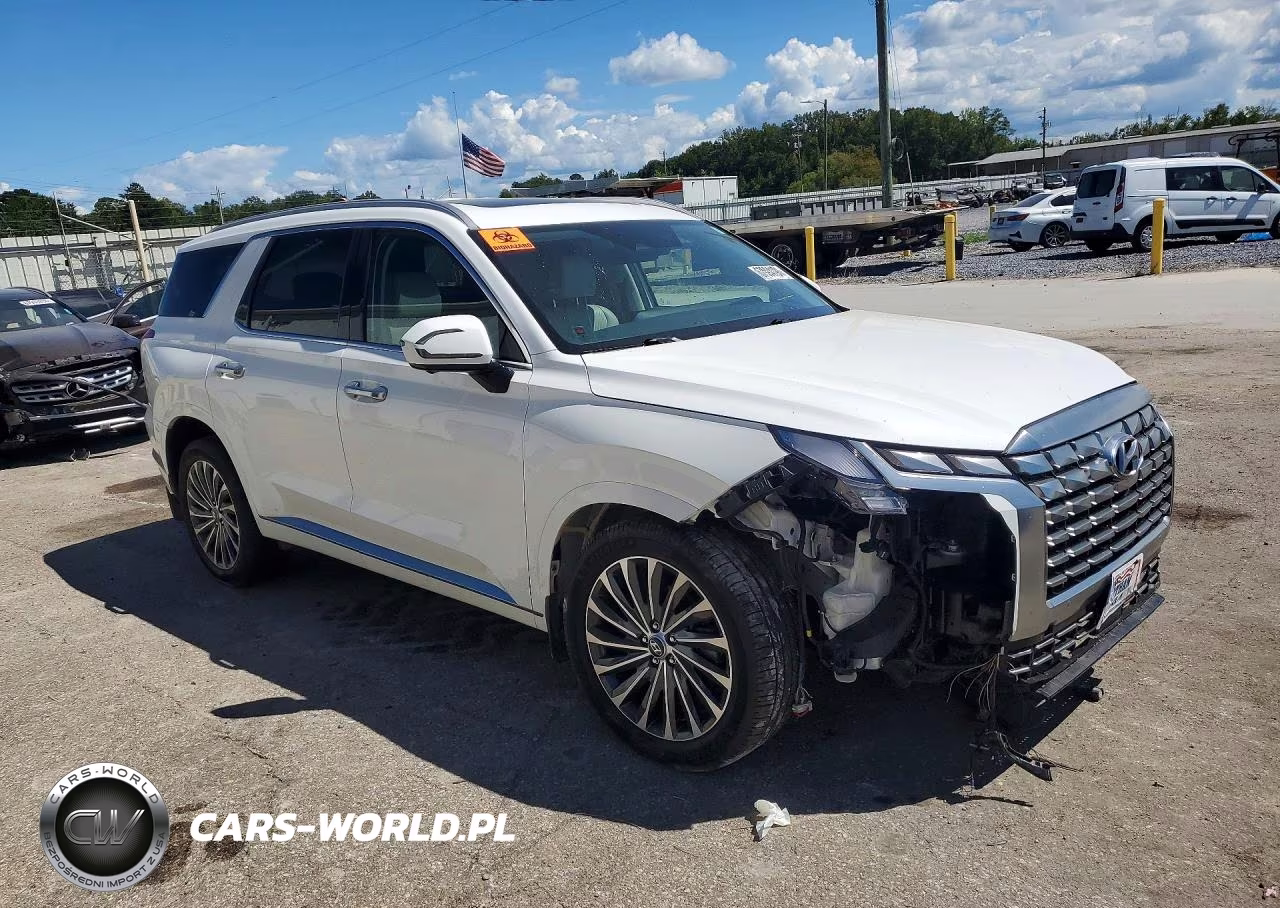 2023 Hyundai Palisade Calligraphy VIN:KM8R74GEXPU552387 - 4