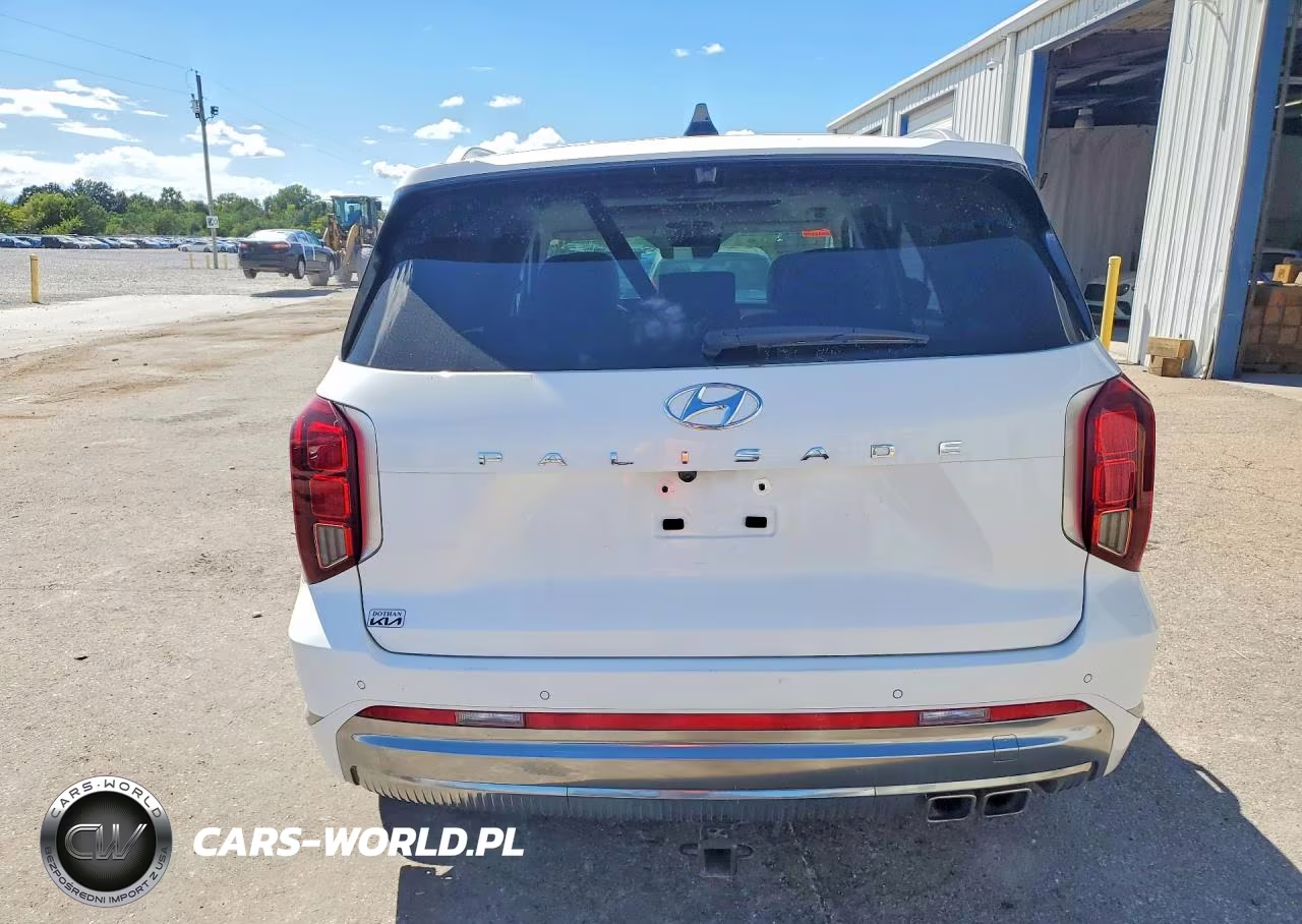 2023 Hyundai Palisade Calligraphy VIN:KM8R74GEXPU552387 - 6