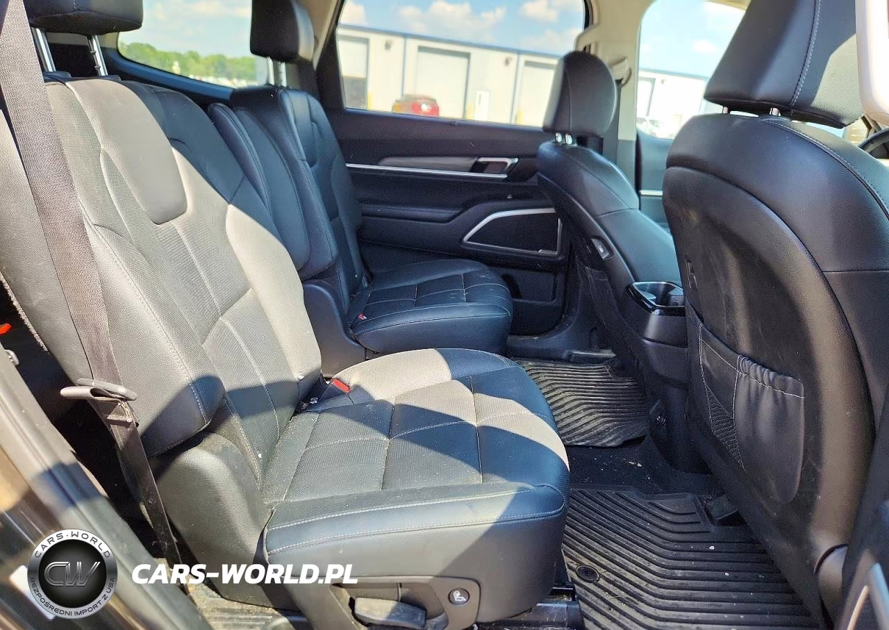 2022 Kia Telluride Ex VIN:5XYP3DHC9NG265576 - 10
