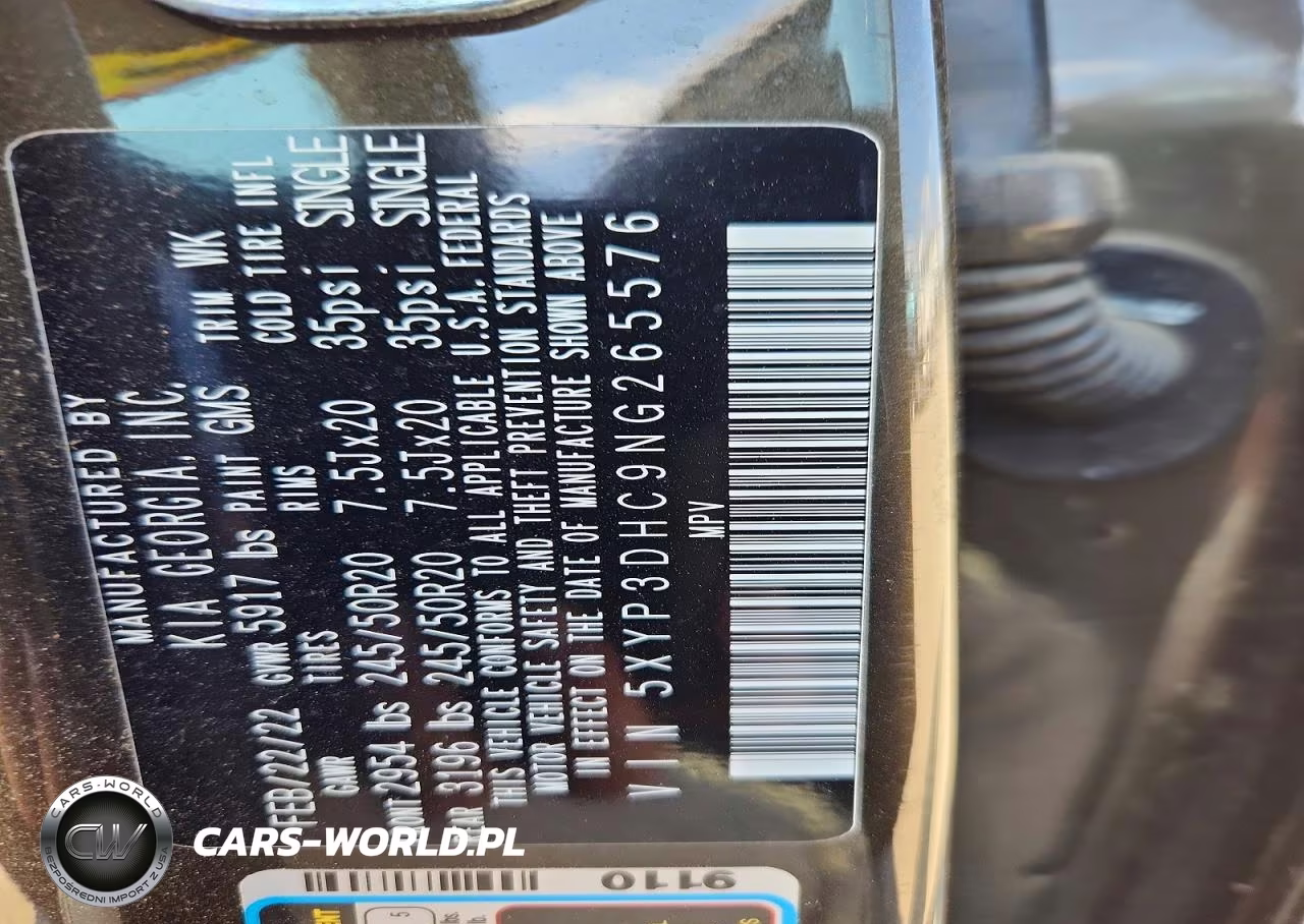 2022 Kia Telluride Ex VIN:5XYP3DHC9NG265576 - 12