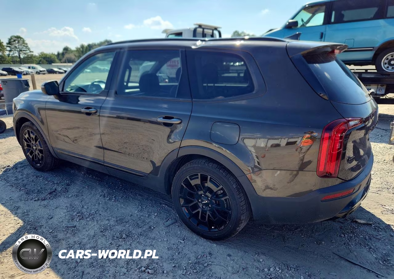 2022 Kia Telluride Ex VIN:5XYP3DHC9NG265576 - 2