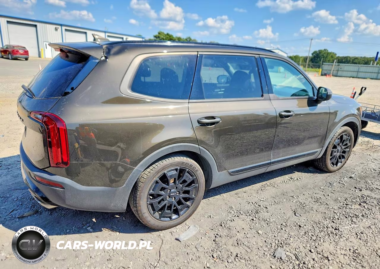 2022 Kia Telluride Ex VIN:5XYP3DHC9NG265576 - 3
