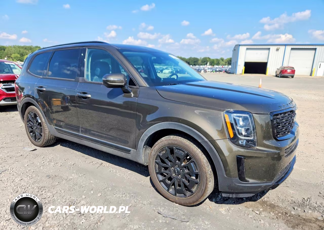 2022 Kia Telluride Ex VIN:5XYP3DHC9NG265576 - 4