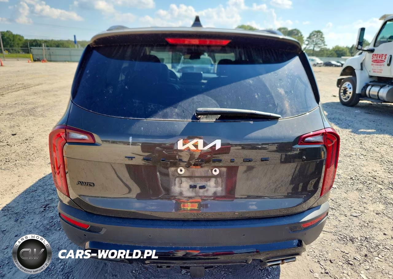 2022 Kia Telluride Ex VIN:5XYP3DHC9NG265576 - 6