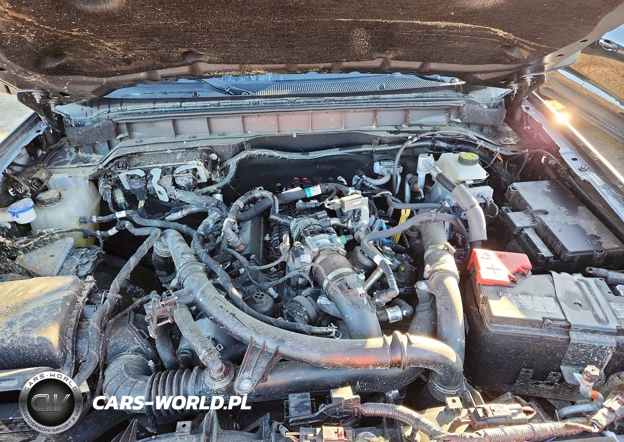 2024 Ford Bronco Badlands VIN:1FMDE9AP6RLA26306 - 12