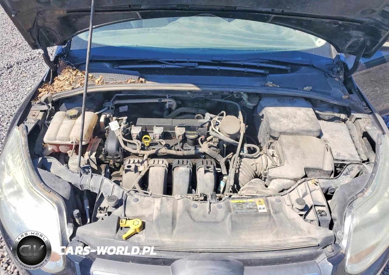2014 Ford Focus Se VIN:1FADP3F23EL130793 - 11