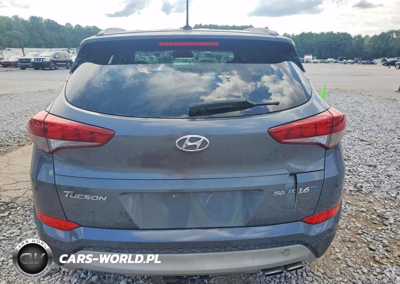 2017 Hyundai Tucson Sport VIN:KM8J33A24HU517136 - 6