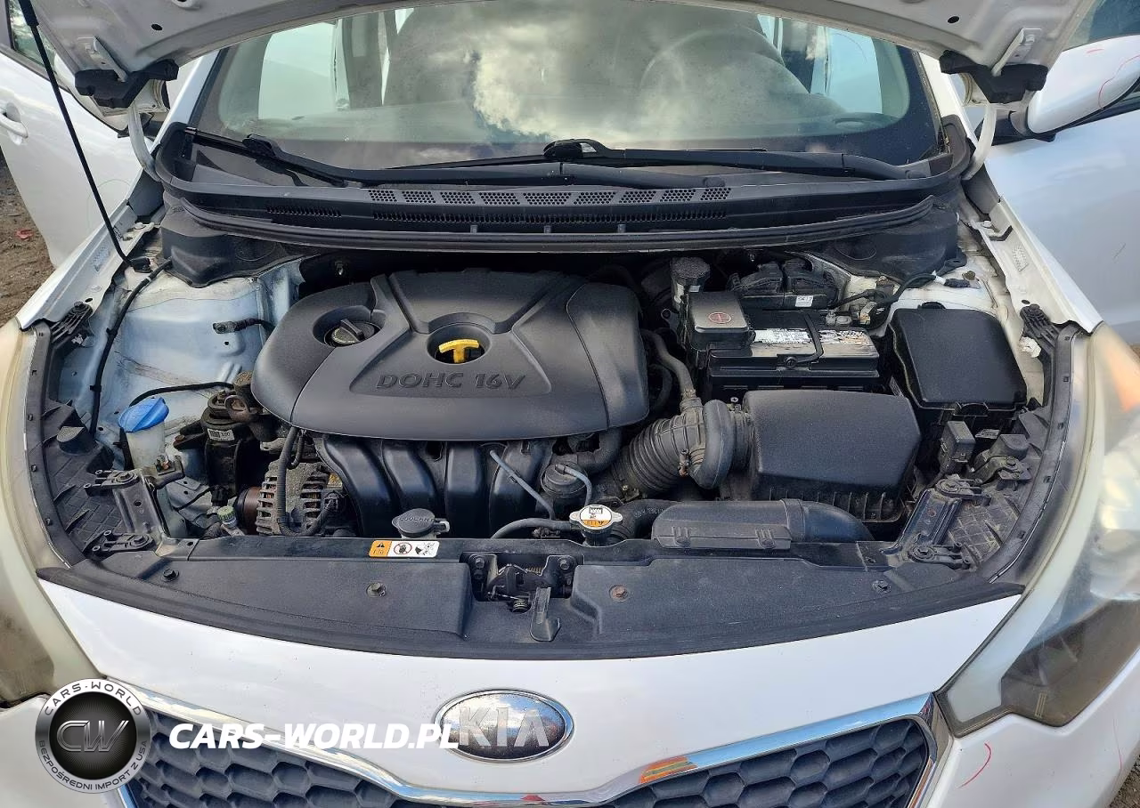 2014 Kia Forte Lx VIN:KNAFK4A63E5067701 - 11