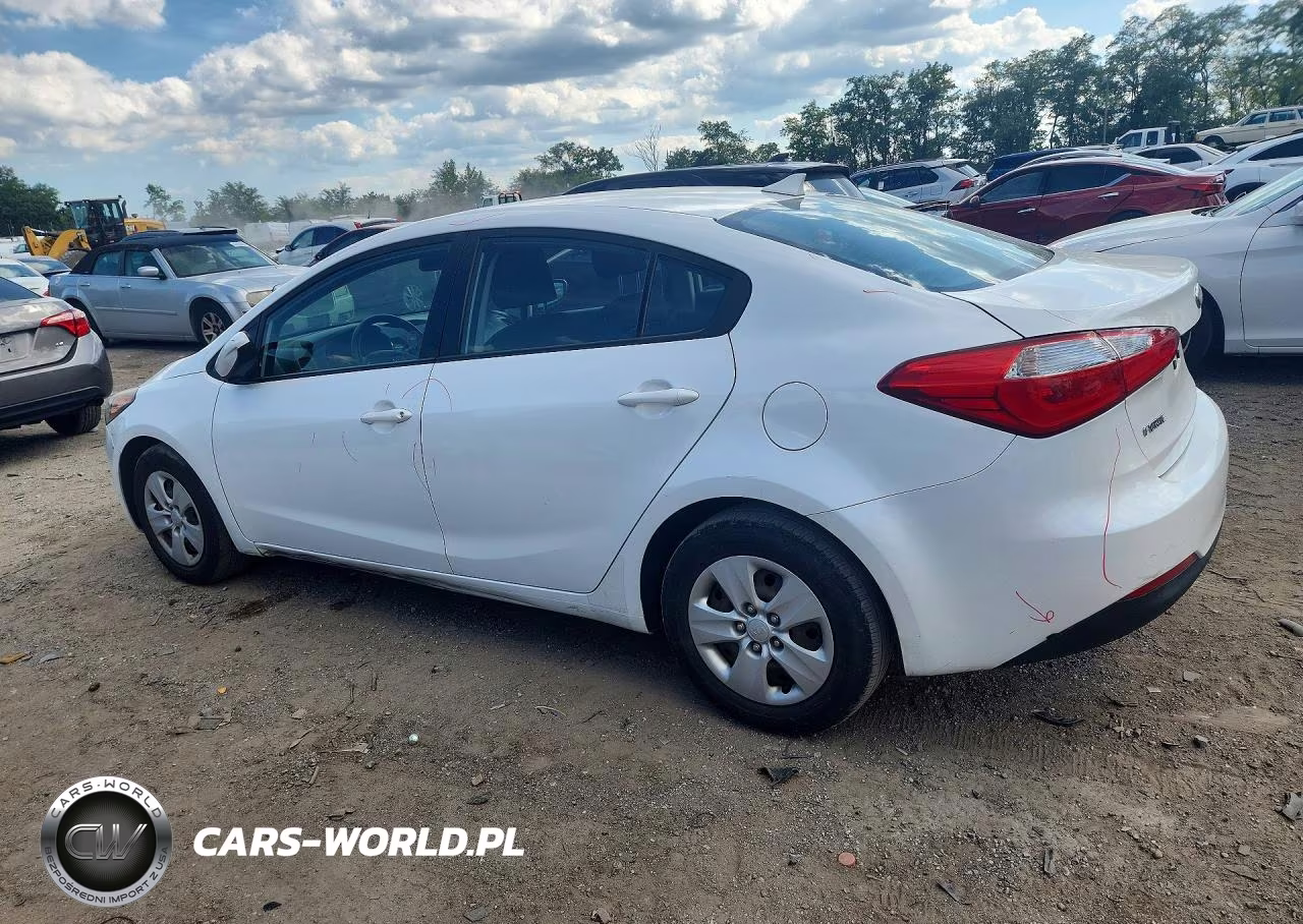 2014 Kia Forte Lx VIN:KNAFK4A63E5067701 - 2