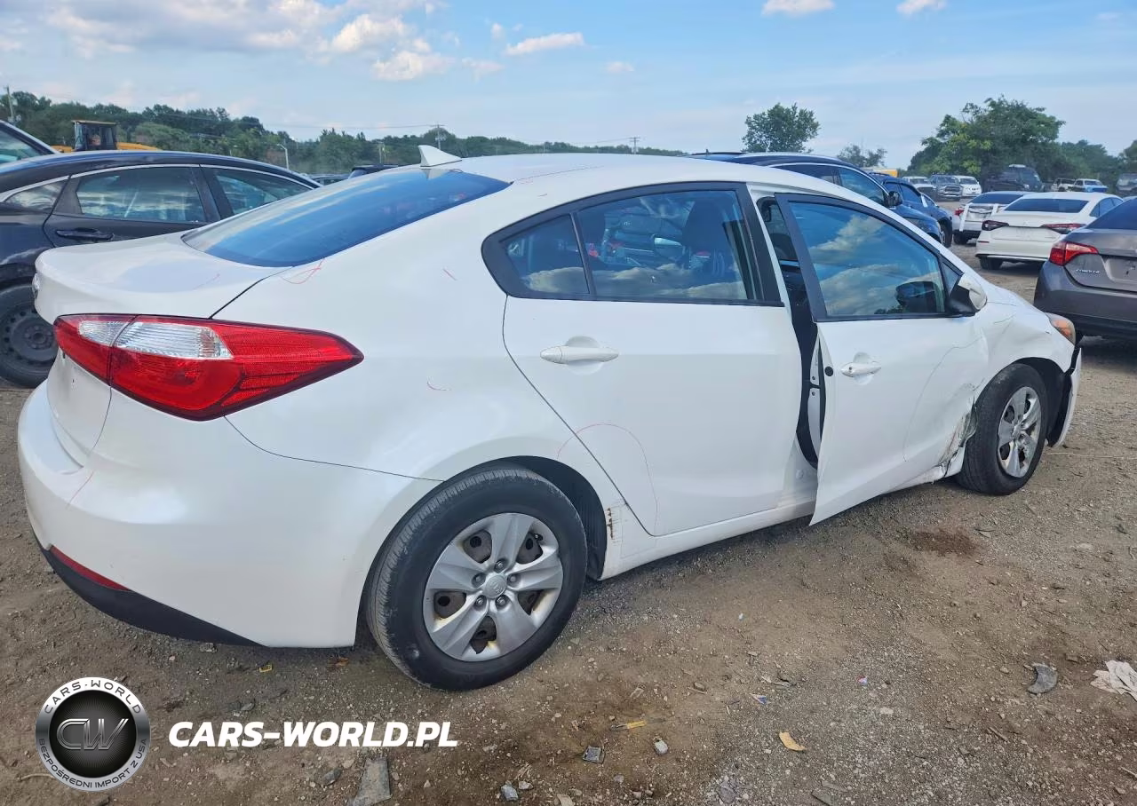 2014 Kia Forte Lx VIN:KNAFK4A63E5067701 - 3