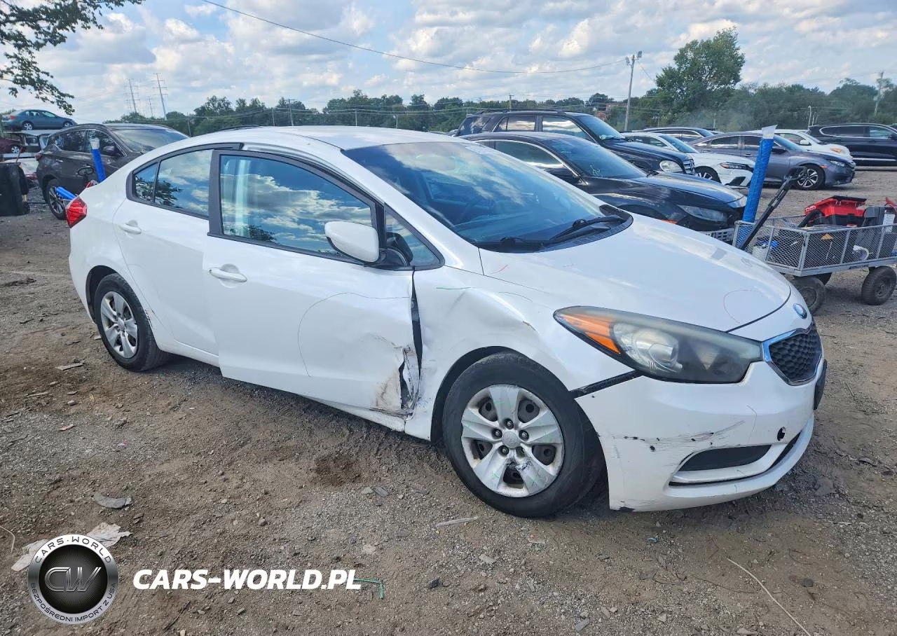 2014 Kia Forte Lx VIN:KNAFK4A63E5067701 - 4
