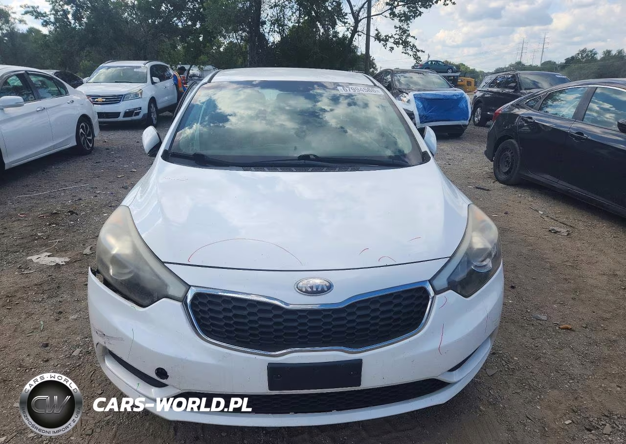 2014 Kia Forte Lx VIN:KNAFK4A63E5067701 - 5