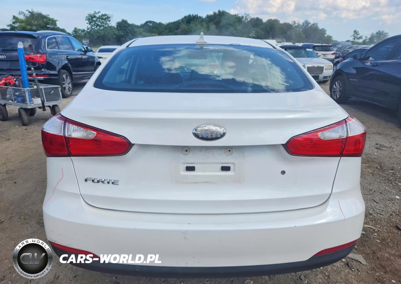 2014 Kia Forte Lx VIN:KNAFK4A63E5067701 - 6