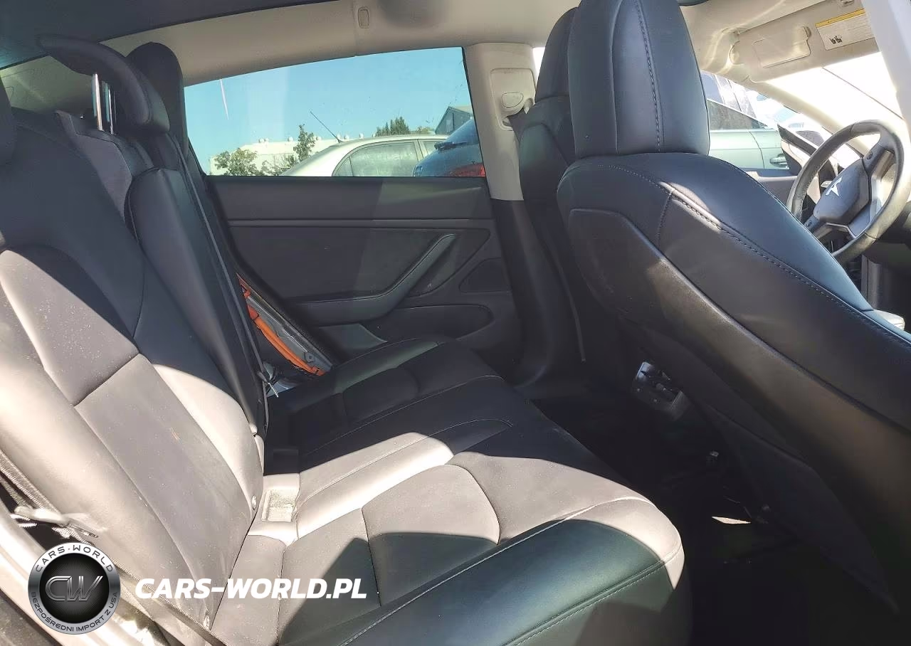 2020 Tesla Model 3 VIN:5YJ3E1EB8LF666396 - 10