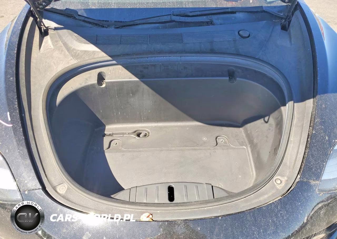 2020 Tesla Model 3 VIN:5YJ3E1EB8LF666396 - 11