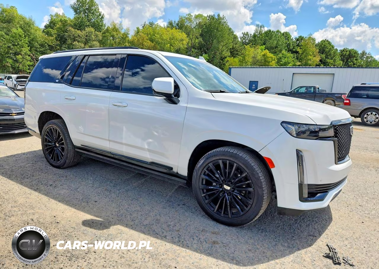 2022 Cadillac Escalade Sport Platinum VIN:1GYS4GKL2NR307776 - 4