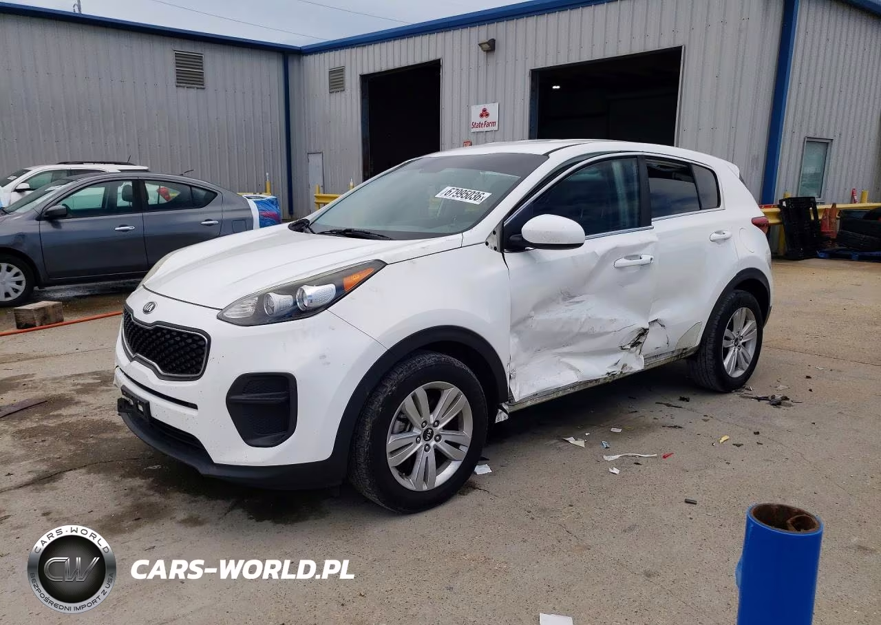 2019 Kia Sportage Lx VIN:KNDPM3AC1K7591690 - 1