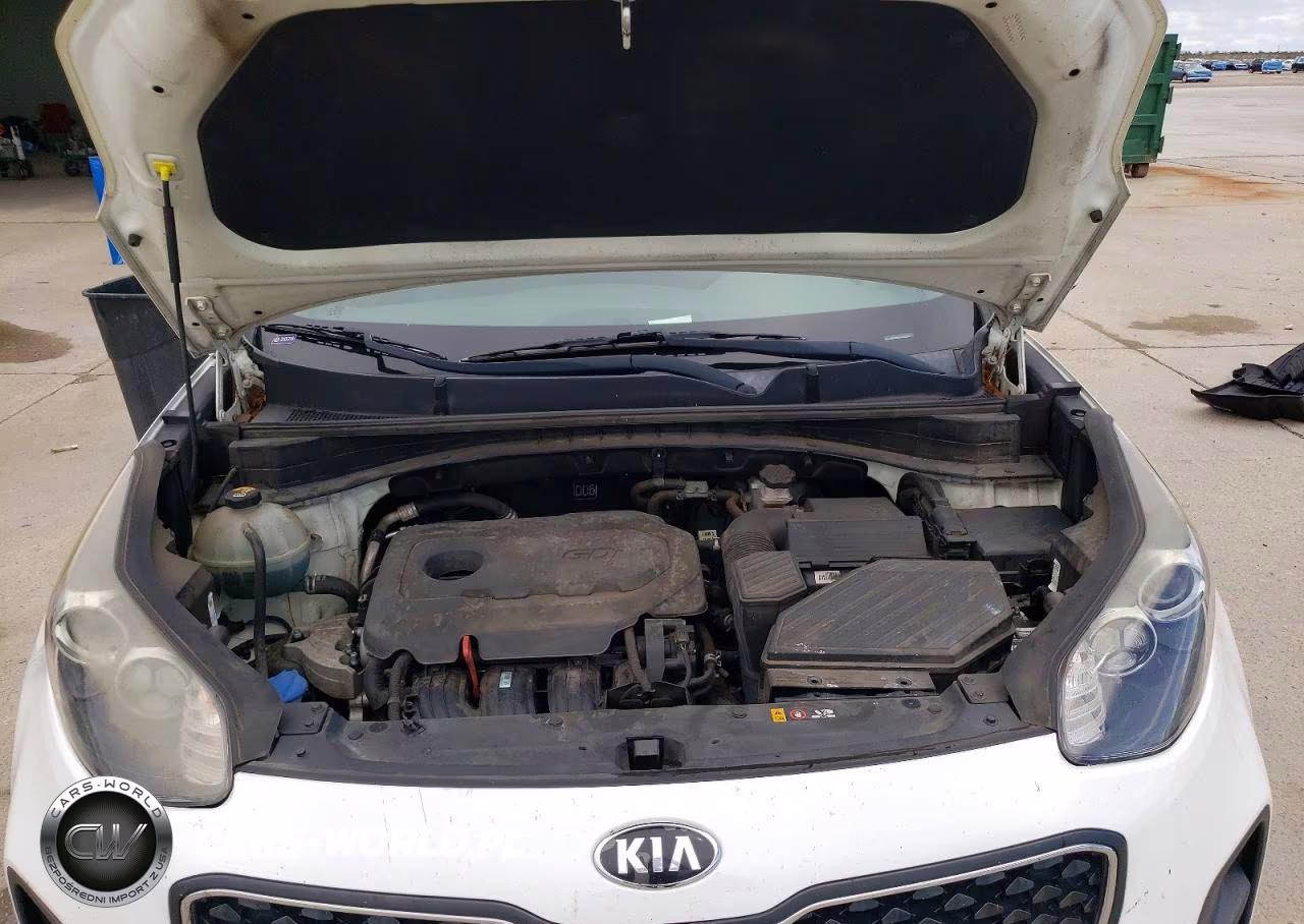 2019 Kia Sportage Lx VIN:KNDPM3AC1K7591690 - 11