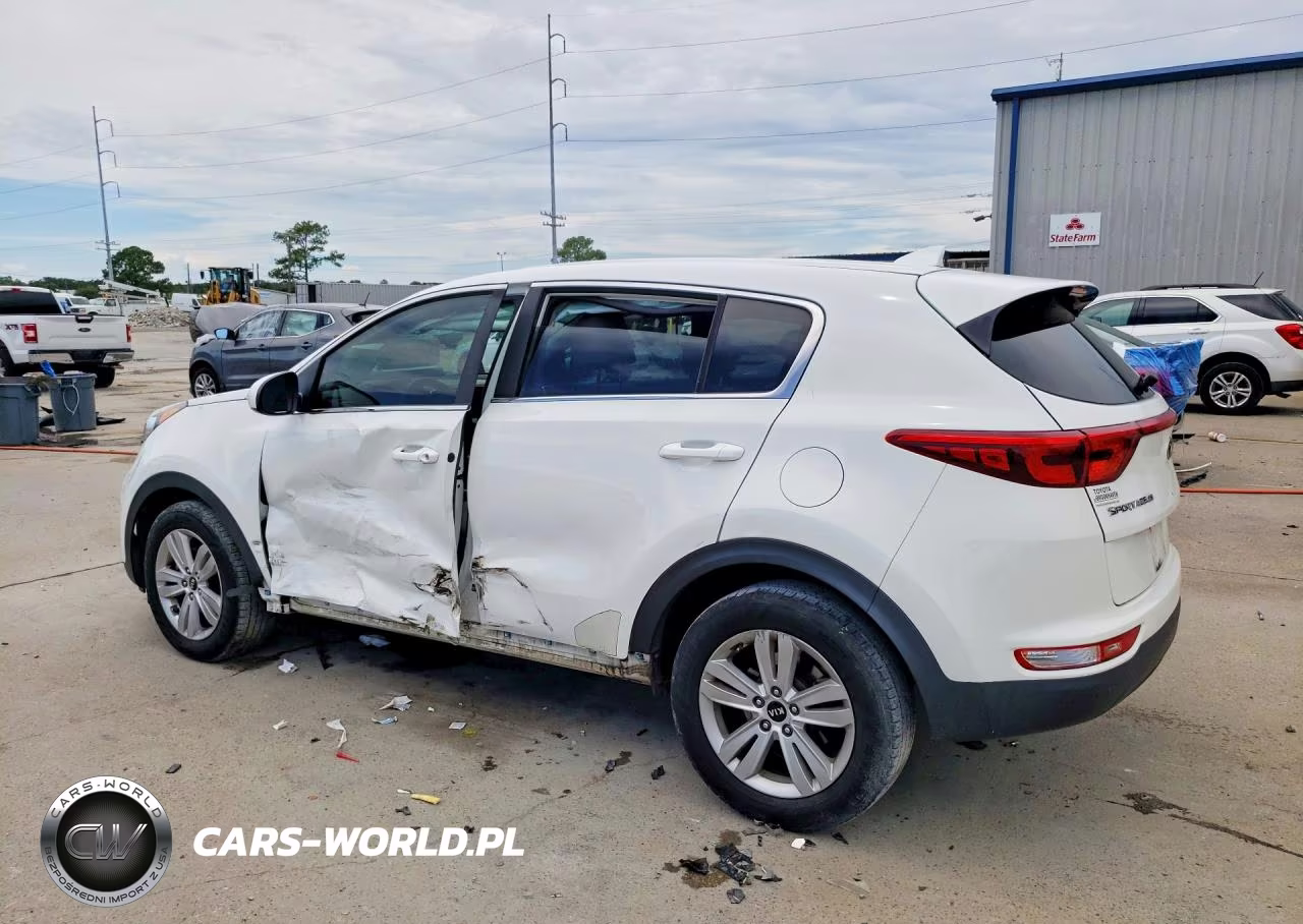 2019 Kia Sportage Lx VIN:KNDPM3AC1K7591690 - 2