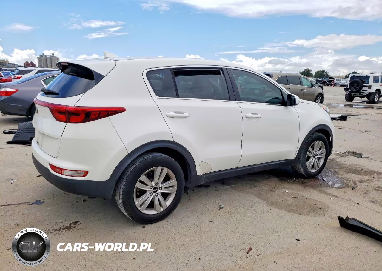 2019 Kia Sportage Lx VIN:KNDPM3AC1K7591690 - 3