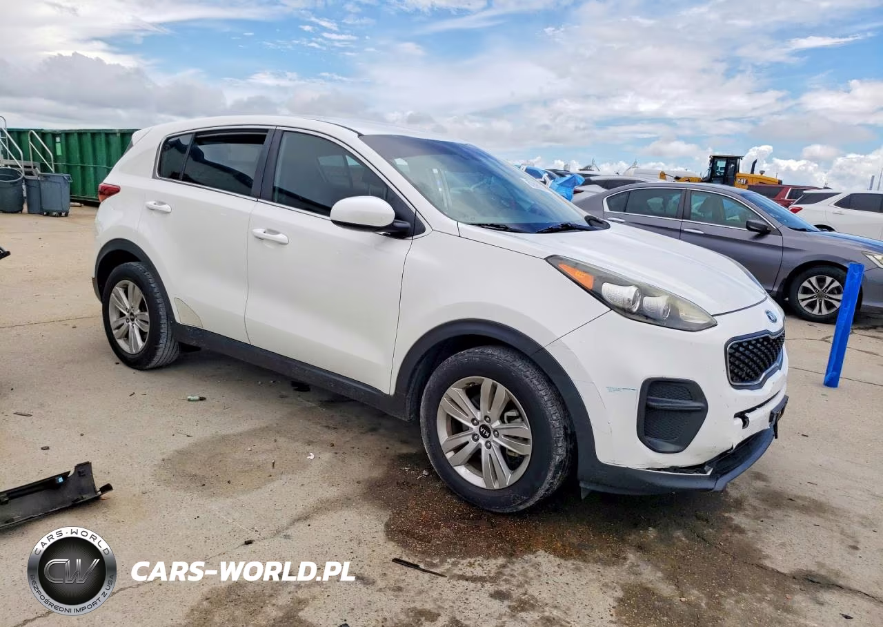 2019 Kia Sportage Lx VIN:KNDPM3AC1K7591690 - 4