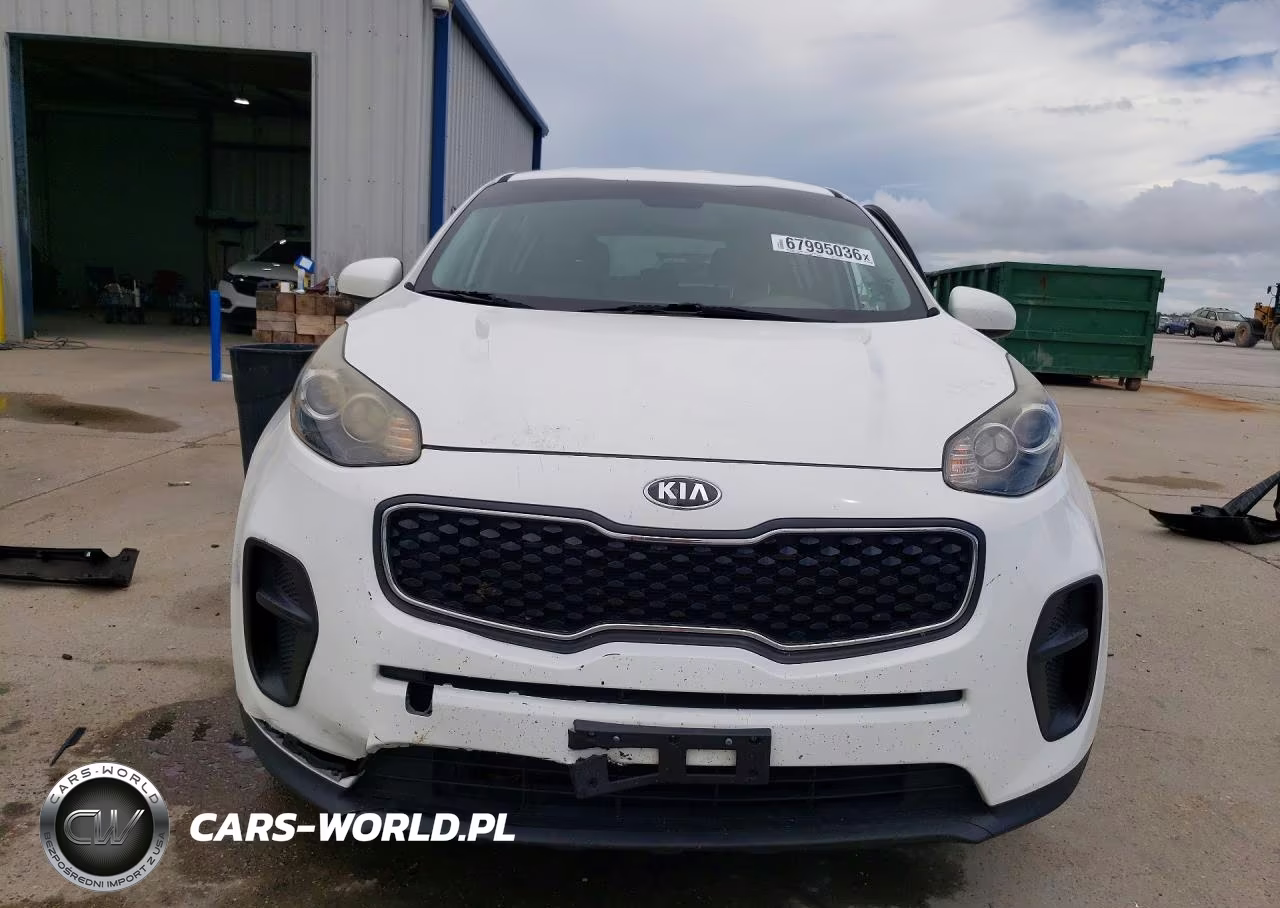 2019 Kia Sportage Lx VIN:KNDPM3AC1K7591690 - 5