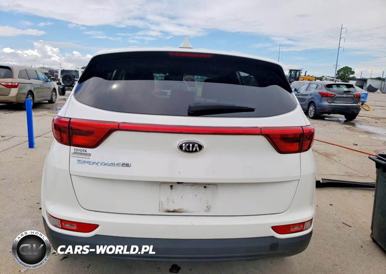 2019 Kia Sportage Lx VIN:KNDPM3AC1K7591690 - 6