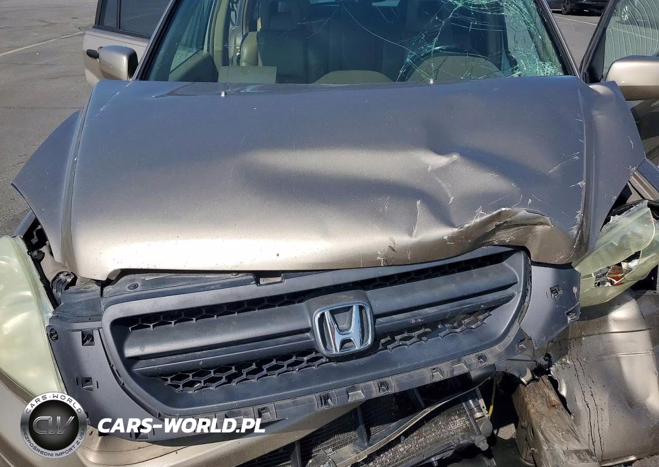 2005 Honda Pilot Exl VIN:5FNYF18545B034300 - 12