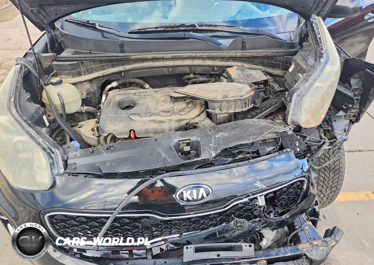 2018 Kia Sportage Lx VIN:KNDPMCAC5J7403087 - 12