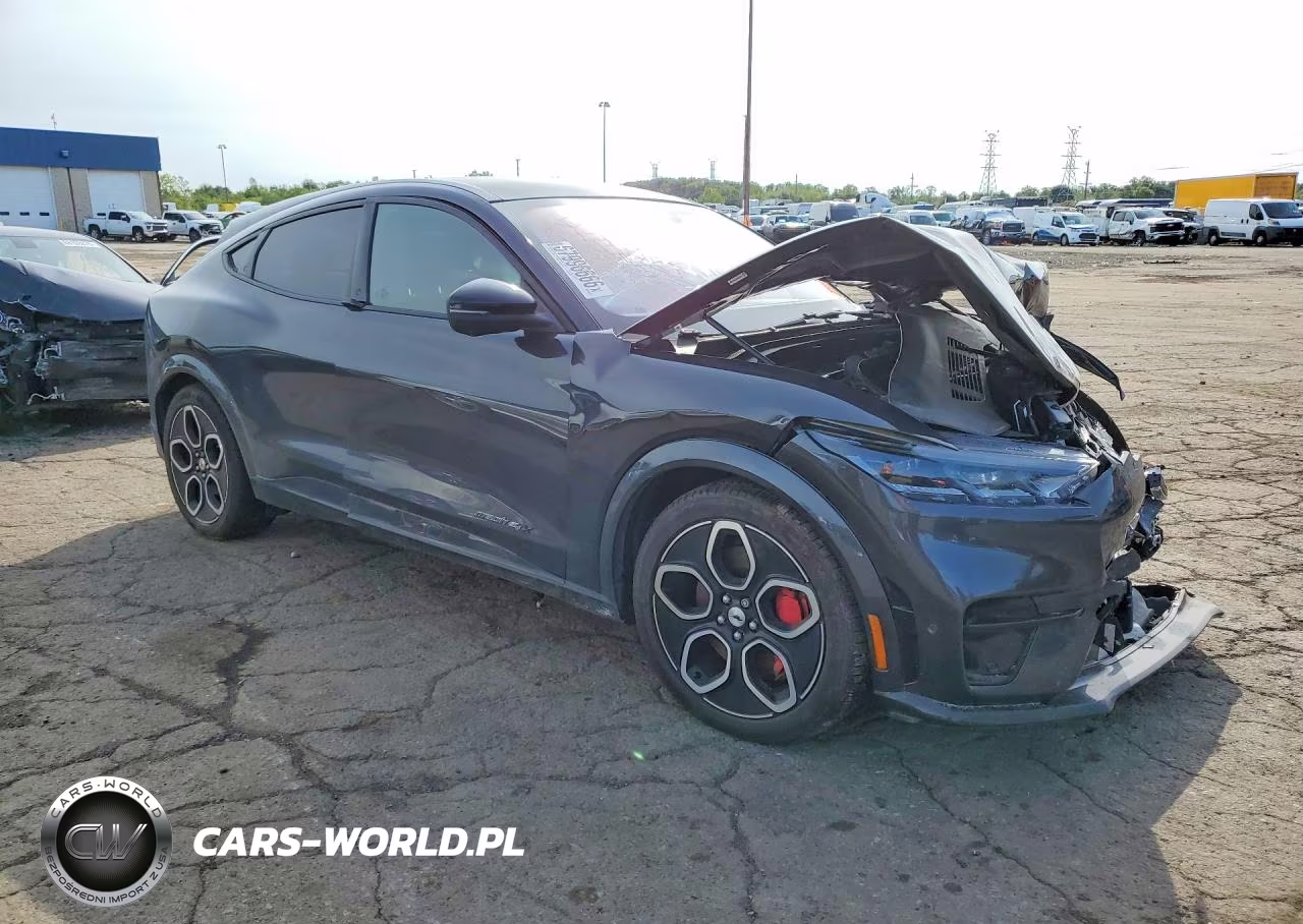 2021 Ford Mustang Mach-E Gt VIN:3FMTK4SEXMME03036 - 4