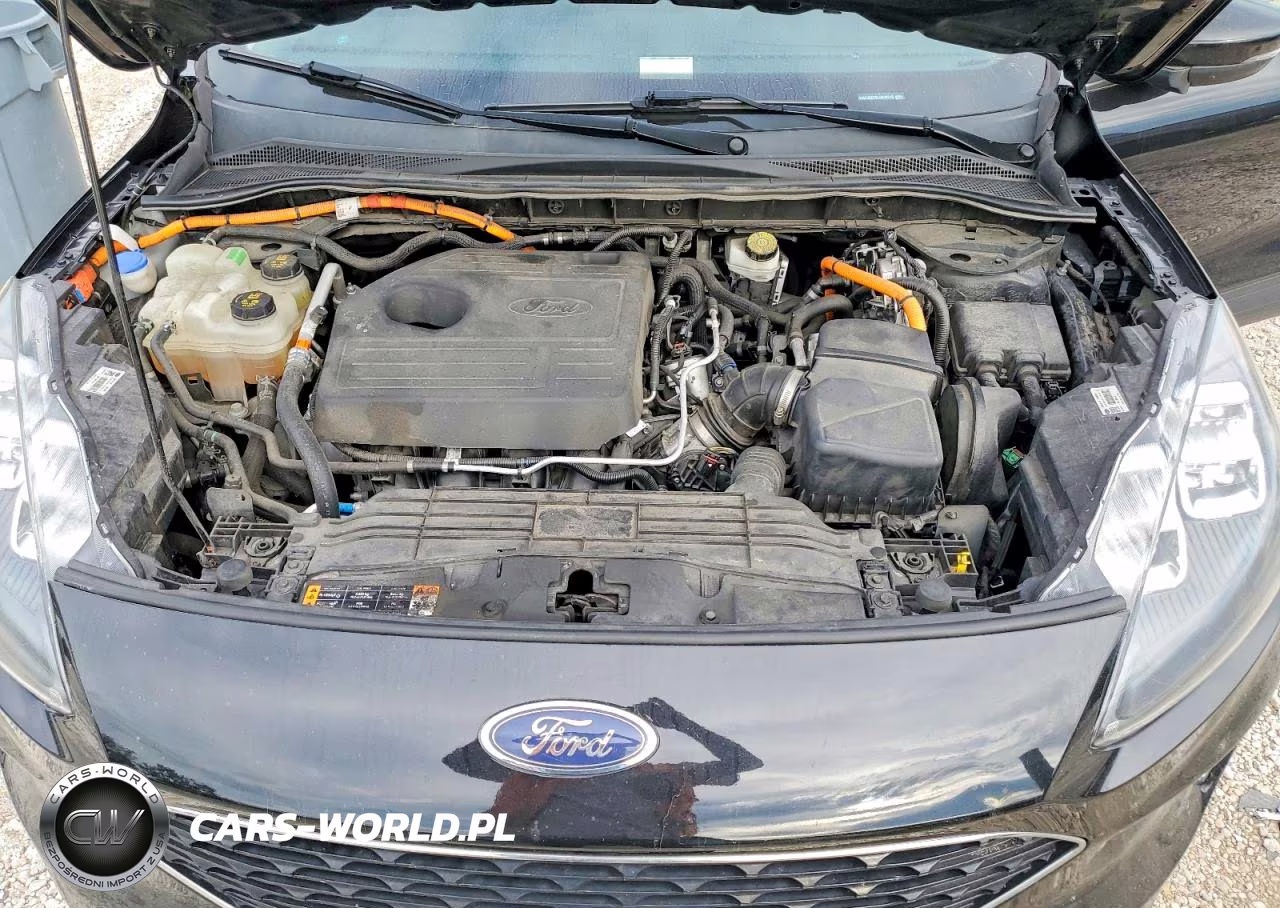 2020 Ford Escape Titanium VIN:1FMCU9DZ9LUB28213 - 12
