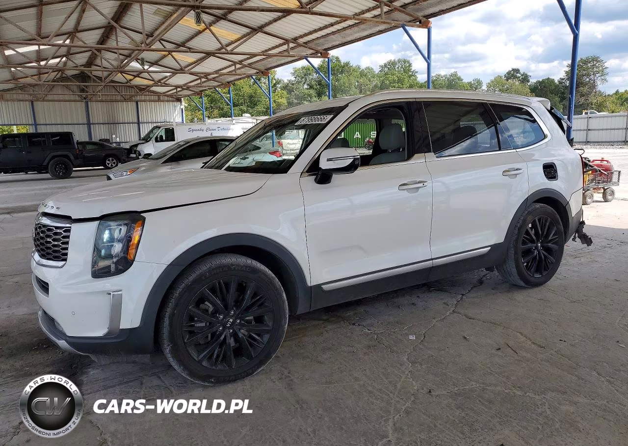2021 Kia Telluride Sx VIN:5XYP54HC6MG112520 - 1