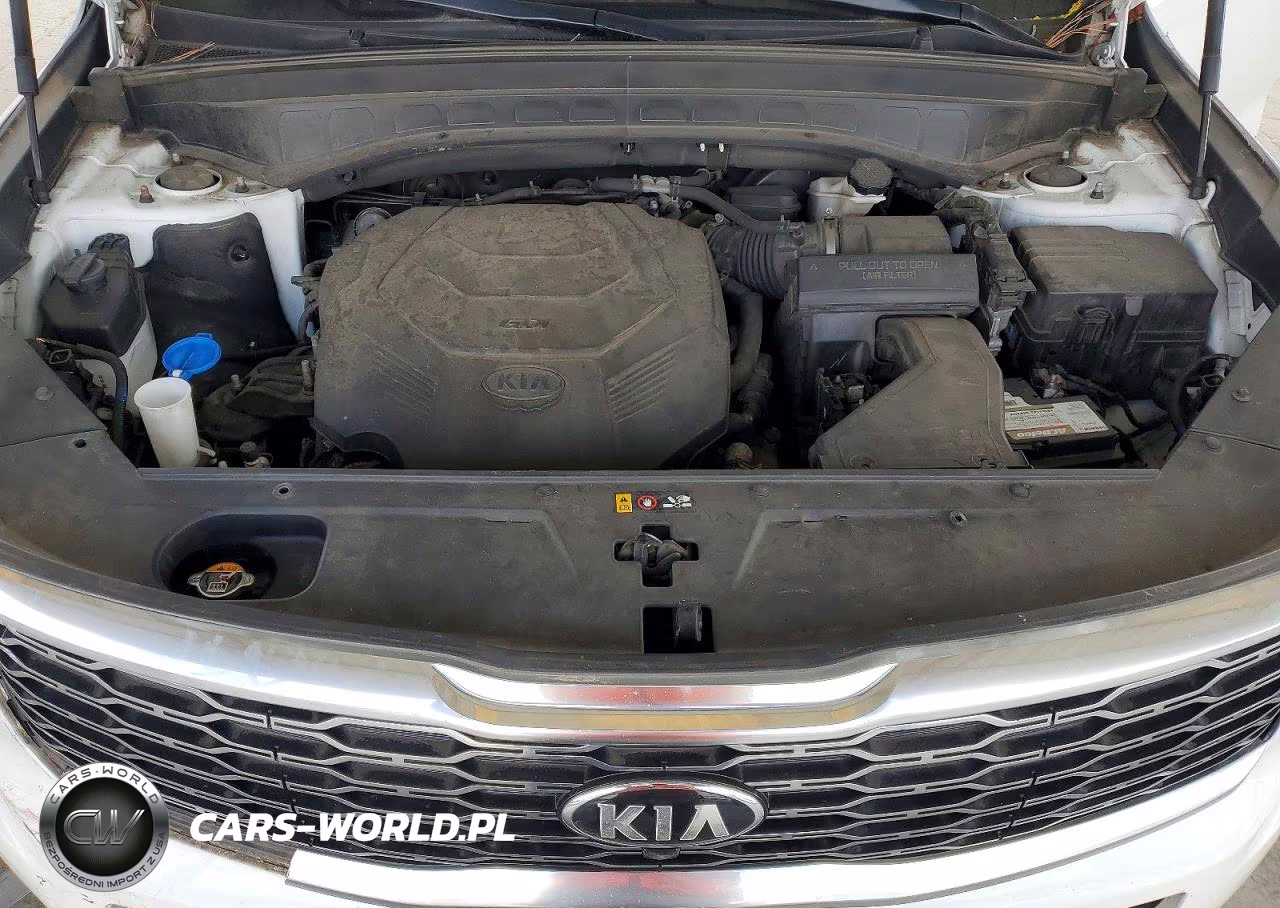 2021 Kia Telluride Sx VIN:5XYP54HC6MG112520 - 12