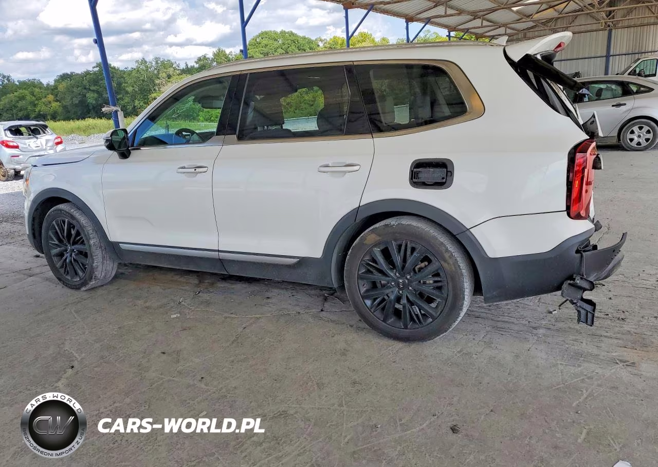 2021 Kia Telluride Sx VIN:5XYP54HC6MG112520 - 2