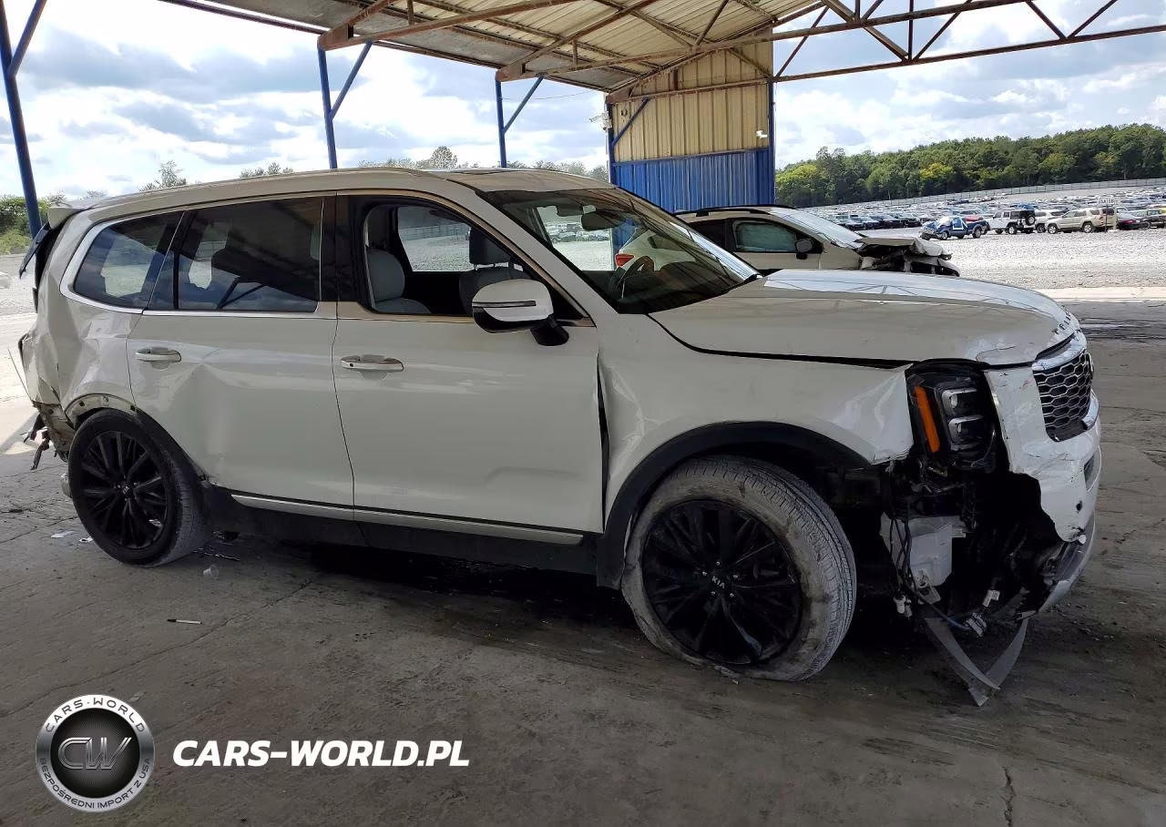 2021 Kia Telluride Sx VIN:5XYP54HC6MG112520 - 4