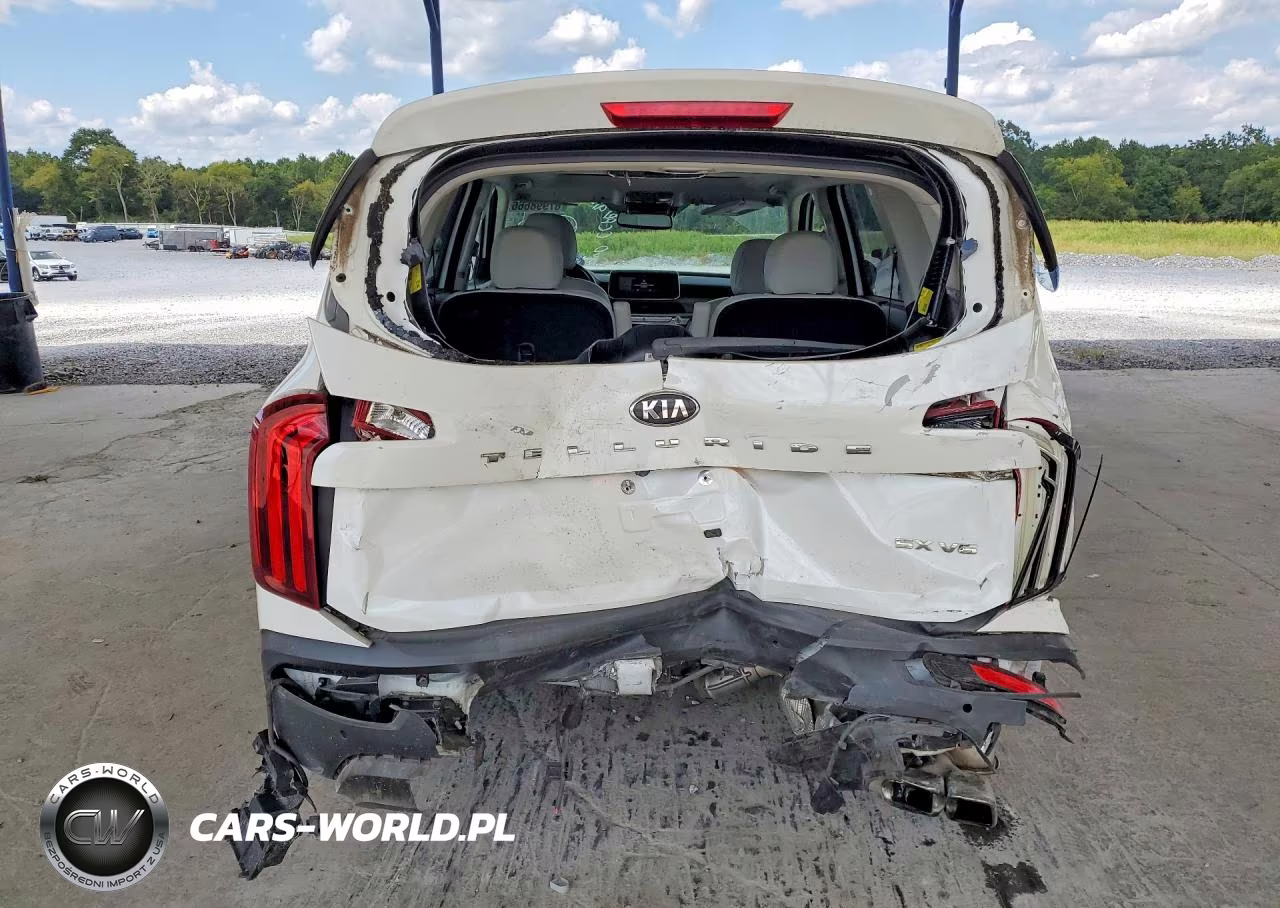2021 Kia Telluride Sx VIN:5XYP54HC6MG112520 - 6