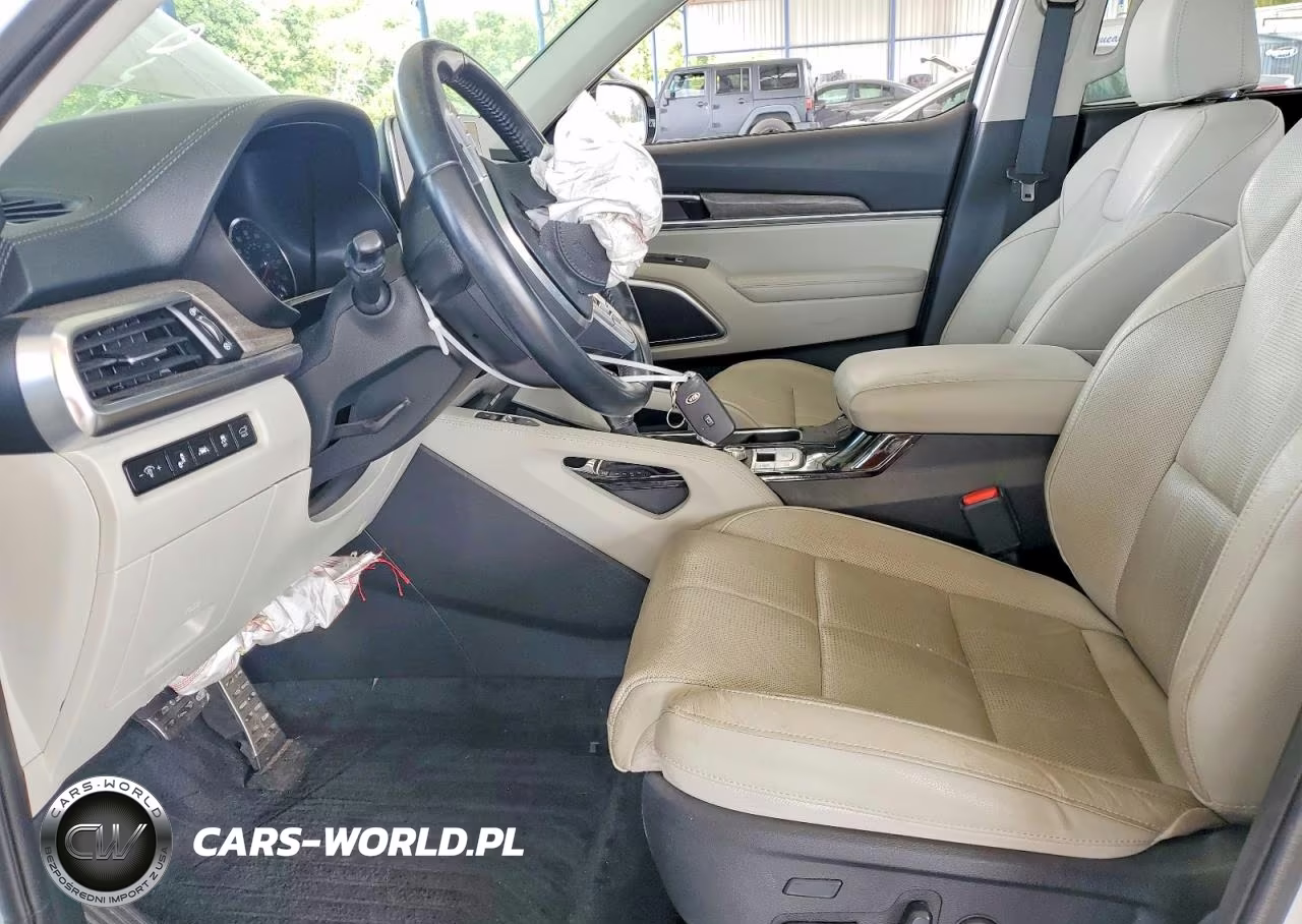 2021 Kia Telluride Sx VIN:5XYP54HC6MG112520 - 7