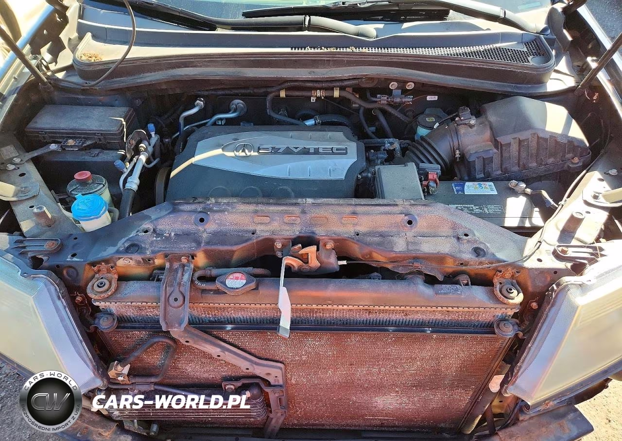2009 Acura Mdx Technology VIN:2HNYD28679H532389 - 12